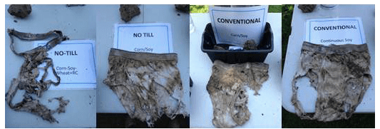 Screen Shot 2018-06-09 at 10.49.40 AM