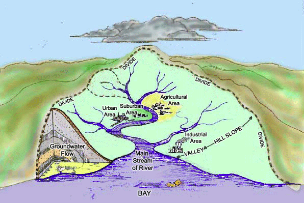 What's a Watershed? | river-raisin
